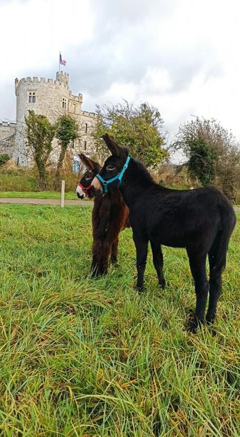 Les ânes du château d Hardelot, pour 2 à 5 pers Condette Exterior foto